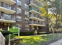  Olinville Ave Apt 8m