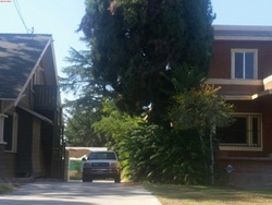  Magnolia Ave