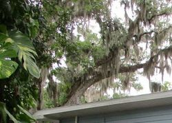 Vera St - Foreclosure In Daytona Beach, FL