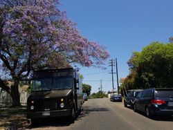  Stewart Ave