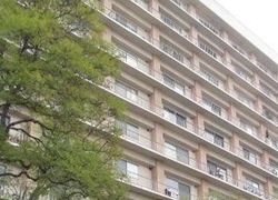  S Doheny Dr Apt 804